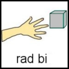 rad bi
